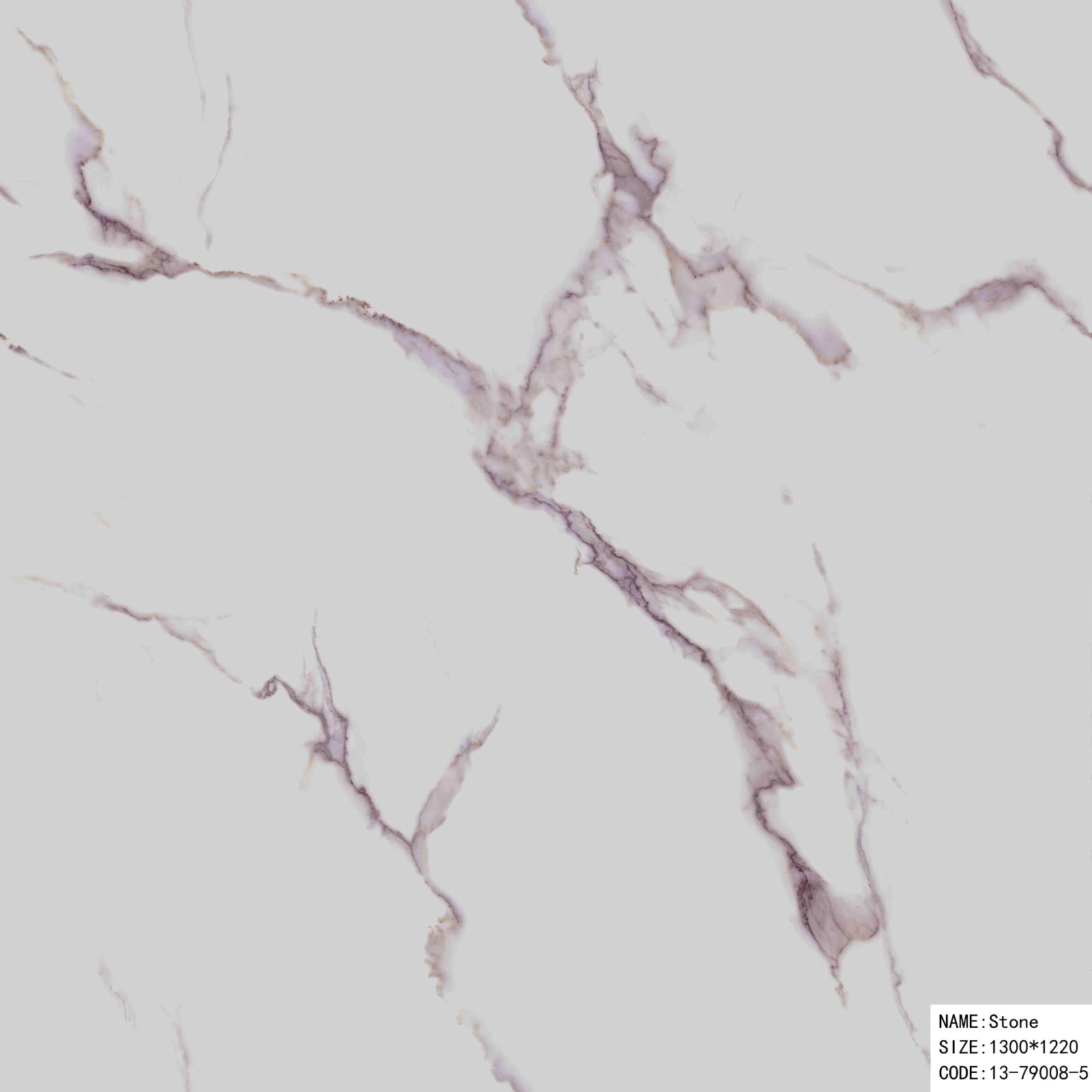 13-79008-5.jpg
